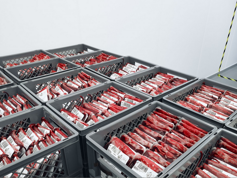 Illustration for article titled Inside the Blood Factory That Keeps Track of the World's Rare Donors